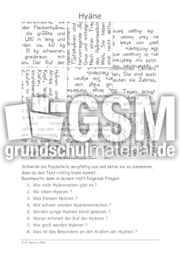 Hyäne.pdf
